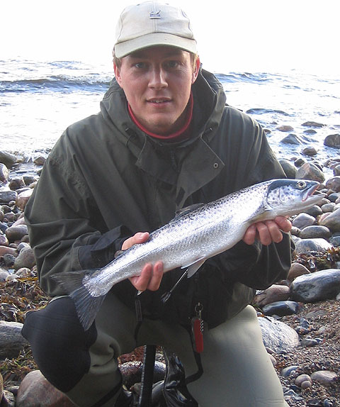Kasper Vinding med havrred 1,2 kg - 52 cm