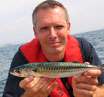 Foged - 0.550 kg makrel
